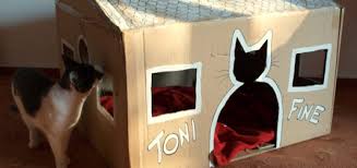 C Est Fait Maison Astuces Bricolage Recettes Tricot Tout Est Fait Maison Maison De Chat En Carton Tente Pour Chat Diy Jouets Pour Chat Faits Maison