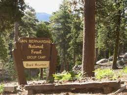 We did not find results for: San Bernardino National Forest Black Mountain Group Campground