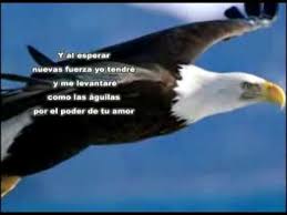 Ingrid Rosario Por El Poder De Tu Amor Avi Youtube Karaoke Canciones Cristianas Alabanza Y Adoracion
