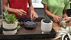 Director of gardenworks' landscaping department @ martinson's garden works. Ridgeland Store Opens Sunroom With Indoor Plants And Home Decor