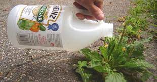 How does corn gluten meal kill mice? 35 Ways To Naturally Kill Weeds In The Garden For Good