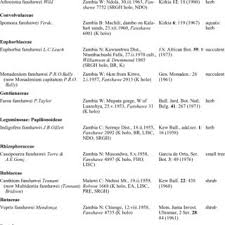 Image result for Thesium fanshawei