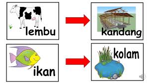 See more of ternakan haiwan on facebook. Tempat Tinggal Haiwan Youtube