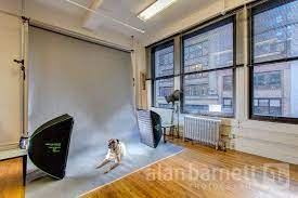 Posts About Pet Photography On Close Crop Dog Photography Studio Pet Photography Studio Pet Photography Tips