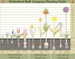 Plant Container Size Chart Developerridge Info