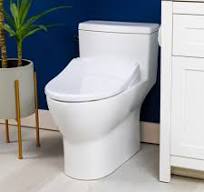 BidetKing Crown Bidet Toilet Seat