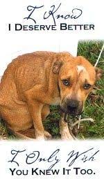 The Sadness In This Dogs Eyes Is Heartbreaking Stop Cruelty To All Animals Stop Animal Cruelty Animals Animal Abuse