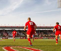 Eight rugby pitches, six cricket pitches, four netball/tennis courts, one basketball court, a grandstand, and ancillary. Dubai Rugby Sevens Stadium Teams The Sevens