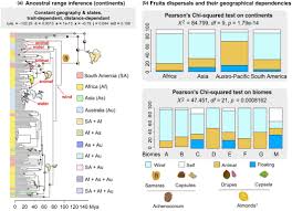 Image result for Strephonema mannii