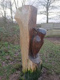 Farecompare'is leiad ka soodushinnaga hotellid brereton heath local nature reserve. A Christmas Walk At Brereton Heath Nature Reserve Cheshire