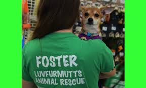 For the best experience, we recommend you upgrade to the latest version of chrome or safari. Luvfurmutts Animal Rescue Cincinnati Animal Rescue