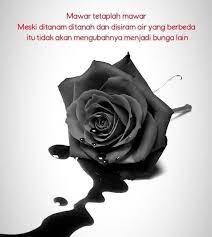 We did not find results for: Wallpaper Mawar Merah Background Hitam Literatur
