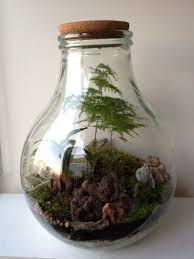 Love How The Plant Stands Alone At The Top Plantae Mini Terrario Terrario