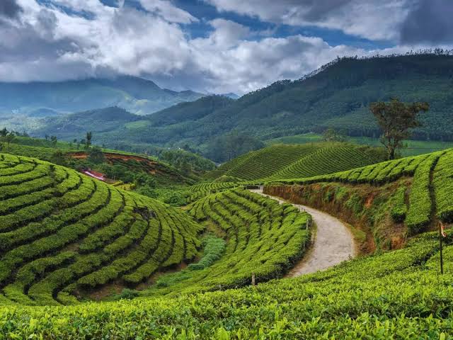 Munnar misty mountains