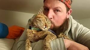 Amazon.com: Nalas Welt: Ein Mann,Eine Straßenkatze und Eine F: CDs y Vinilo