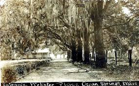 Lovers Lane: The Fort Point Penninsula