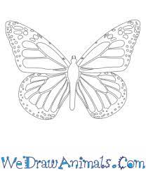 12 cool drawings art ideas design trends premium psd. How To Draw A Monarch Butterfly