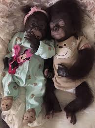 Maybe you would like to learn more about one of these? Double Trouble Baby Monkeys Set Of Two They Wear Size Newborn Baby Clothes 18 Inches Long Sweet Fo Cute Animals Images Funny Animal Videos Animal Gifs