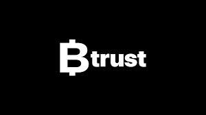 BTRUST BUILDER DEV PROGRAM