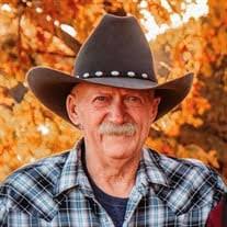 Beverly Tatro's Instagram, Twitter & Facebook