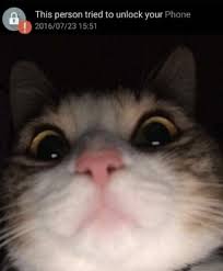 Make this person tried to unlock your iphone memes or upload your own images to make custom memes. Uzivatel Sean Eubanks Na Twitteru This Picture Of A Cat Trying To Unlock An Iphone Is The Best Thing I Ve Seen Today