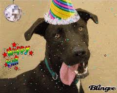Wishing you a happy birthday! Top 30 Dog Birthday Gifs Find The Best Gif On Gfycat