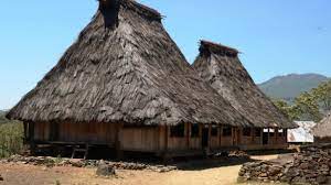 Mengenal Rumah Adat Ntt Sejarah Fungsi Jenis Dan Filosofinya Rumah Com