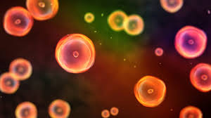 Find out most interesting international calls for submissions! 7 Viruses That Cause Cancer Md Anderson Cancer Center