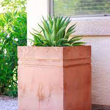 The large diy concrete planter with the round design for a spacious outdoor space. Stylish Diy Concrete Planters