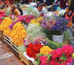 Some families choose direct cremation without a service of any kind. Day Of The Dead Flowers