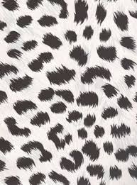 Large Black And White Animal Prints Animal Print Wallpaper Wallpaper Animal Prints Animal Print Leopard Black And White Wallpape Large Print Wallpaper Print Wallpaper Animal Print Wallpaper