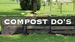 But if applied improperly, they can be a caustic topping for. 10 Things You Should Not Put In Your Compost Pile Bonus Material