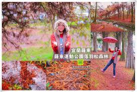 中華民國教育部版權所有© 2015 ministry of education, r.o.c. å®œè˜­æ™¯é»žç¾…æ±é‹å‹•å…¬åœ'æ±ä¸˜è½ç¾½æ¾æ£®æž— æ–‡ç« å‚³é€é–€ Https Wp Me P9zoun 3lf å®œè˜­è¦ªå­æ—…éŠä½å®¿æ‡¶äººåŒ… Https Wp Me P9zoun 1gs åœ¨å®œè˜­ç¾…æ±é‹å‹•å…¬åœ'çš„æ±åŒ—æ–¹ä½æœ‰è'—ä»¤äººé©šè‰·çš„è½ç¾½æ¾æ£®æž— ä¹Ÿç¨±ç‚ºæ±ä¸˜è½ç¾½æ¾ å¤§ç‰‡ Poster Movies Movie Posters