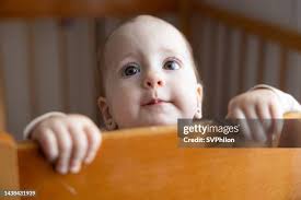 3,413 Pierce Home Furnishings Stock Photos, High-Res Pictures, and Images