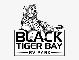 Png file for your design. Black Tiger Bay Rv Park Logo Tiger Logo Black And White Png Image Transparent Png Free Download On Seekpng