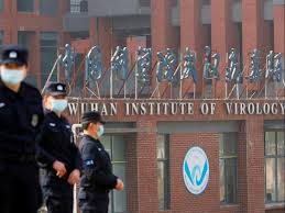 And that view, stretching back to early 2020, is a doozy. Covid Chinese Virologist Says Fauci Emails Prove Her Wuhan Lab Leak Claims Business Standard News