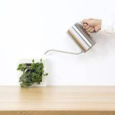 happy first day of spring our watering cans come in various types and sizes to accommodate all your plants needs exclusi muji first day of spring watering