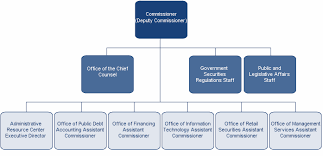 Organization Structure What Is Functional