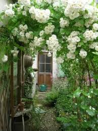 Arch Of White Flowers Old Charming Garden Jardin De Cure Idees Jardin Jardins