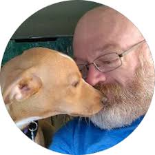 Commercial Roof Inspections In Tampa, FL