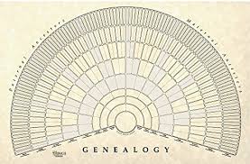 54 studious family tree wall chart