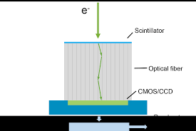The disadvantages of a scanning electron microscope start with the size and cost. Imaging Gatan Inc