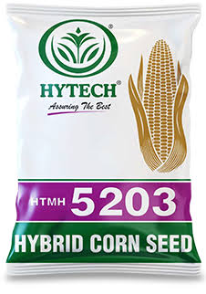 https://encrypted-tbn0.gstatic.com/images?q=tbn:ANd9GcR3O123yOGQnrsNy7iZMF-TfsjcLJoqoCnsyvWz6Go0wg&s=10