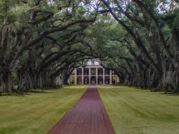 Oak alley plantation is offers inside table service so that customers can enjoy their favorite culinary offerings. Oak Alley Plantation Shutterbug