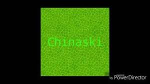 We did not find results for: Chinaski Kutil Youtube