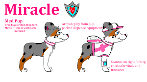 What kind of dogs are the paw patrol? Miracle Paw Patrol Fanon Wiki Fandom