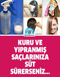 Kuru Ve Yipranmis Saclariniza Sut Surerseniz Faydali Bilgin Sac Sac Maskeleri Kuru Cilt