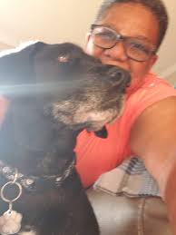 RLP'S Pet Sitting and Dog Walker