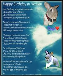 The article on will i see my pet in heaven. First Dog Birthday In Heaven Novocom Top