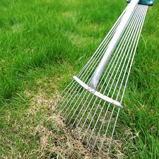 How to dethatch a lawn with rake. Get Rid Of Thatch How To Promote A Healthy Lawn By Dethatching